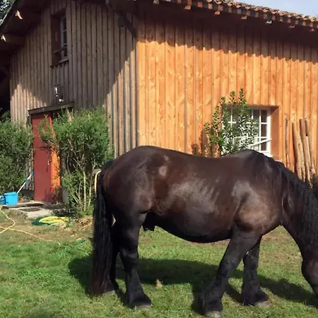 La Palombière Alloggio per agriturismo Saint-Symphorien (Gironde)