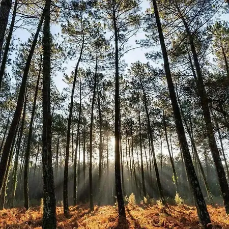La Palombière Alloggio per agriturismo Saint-Symphorien (Gironde)