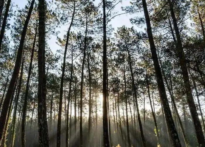 Κατάλυμα σε φάρμα La Palombiere *